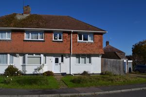 Sunny front- click for photo gallery